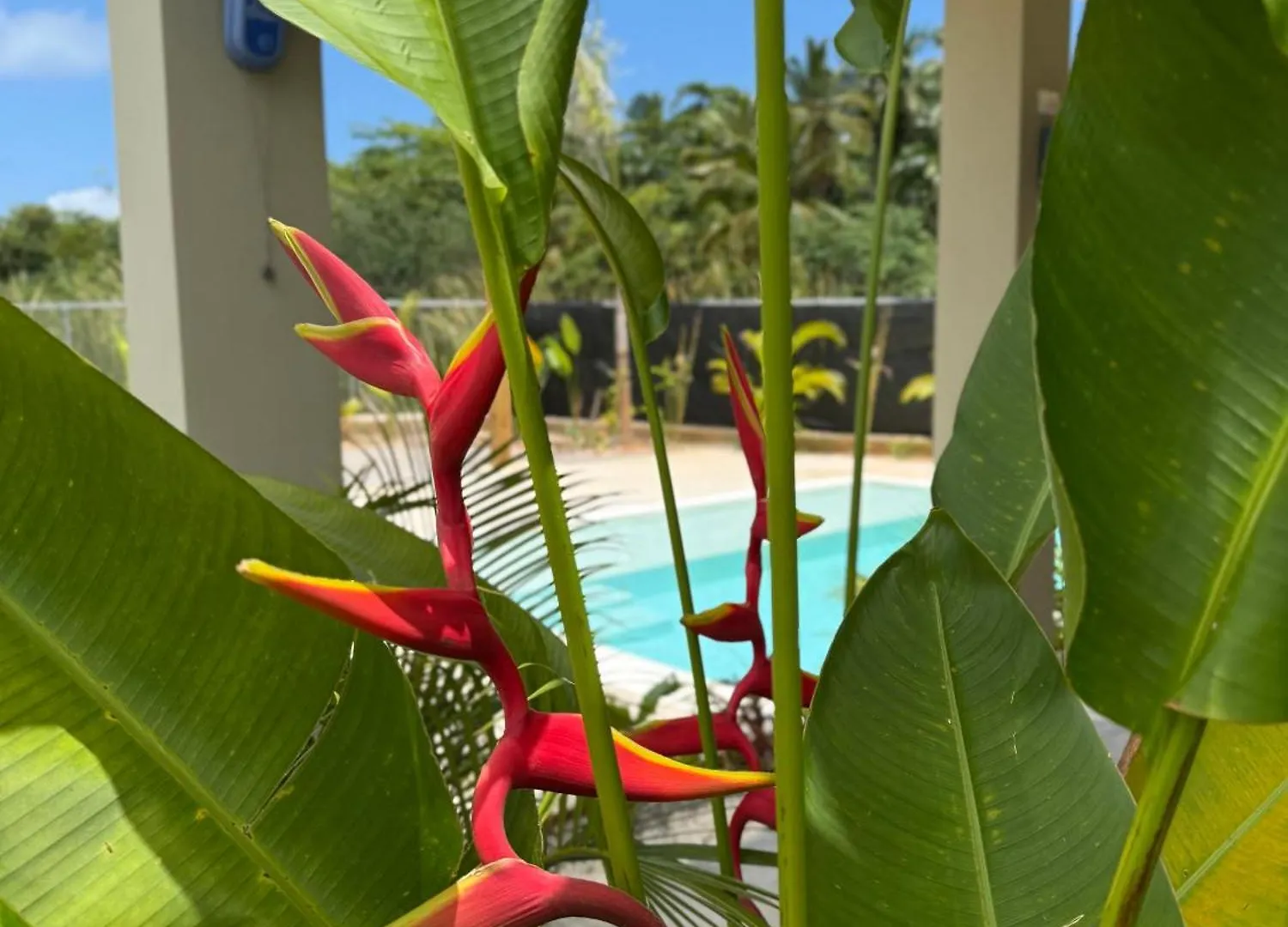 Kaia Beach Lodge location