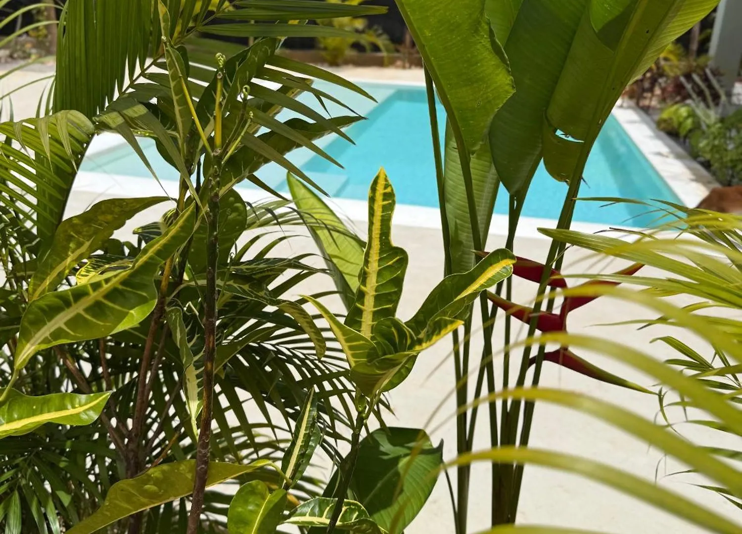 Kaia Beach Lodge 라스테레나스 도미니카 공화국